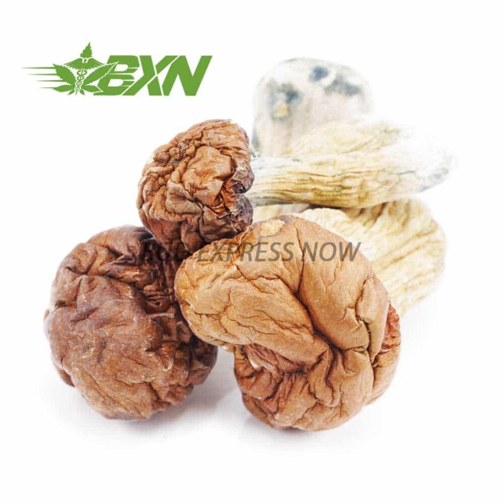 Buy cbd Cambodian Mushroom