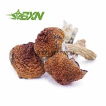 Buy Mushroom - Apex at Kush Station Online Shop