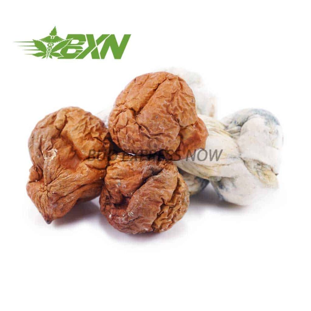 Buy Mushroom - Code Blue at Kush Station Online Shop