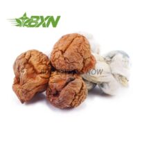 Buy Mushroom - Code Blue at Kush Station Online Shop