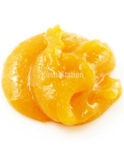 Buy Live Resin - Platinum Kush at Kush Station Online