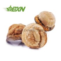 Buy Mushroom - Code Blue at Kush Station Online Shop