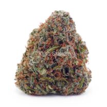 Buy Gushers AAA at Kush Station Online Shop