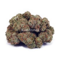 Buy Gushers AAA at Kush Station Online Shop