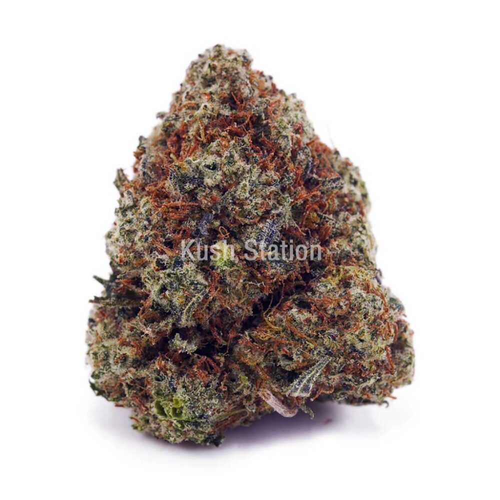 Buy Golden Goat AAA at Kush Station Online Shop