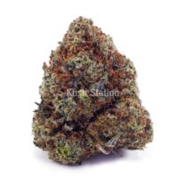 Buy Golden Goat AAA at Kush Station Online Shop