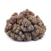 Buy Golden Goat AAA at Kush Station Online Shop
