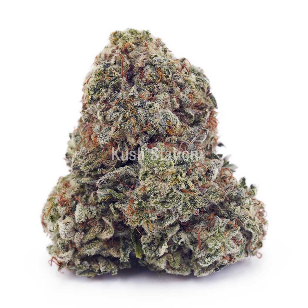 Buy Blue Dream AAA at Kush Station Online Shop