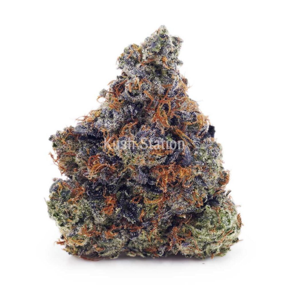 Buy Pink Rockstar AAA - LSO Farms at Kush Station Online Shop