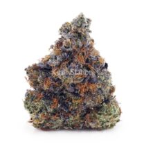 Buy Pink Rockstar AAA - LSO Farms at Kush Station Online Shop