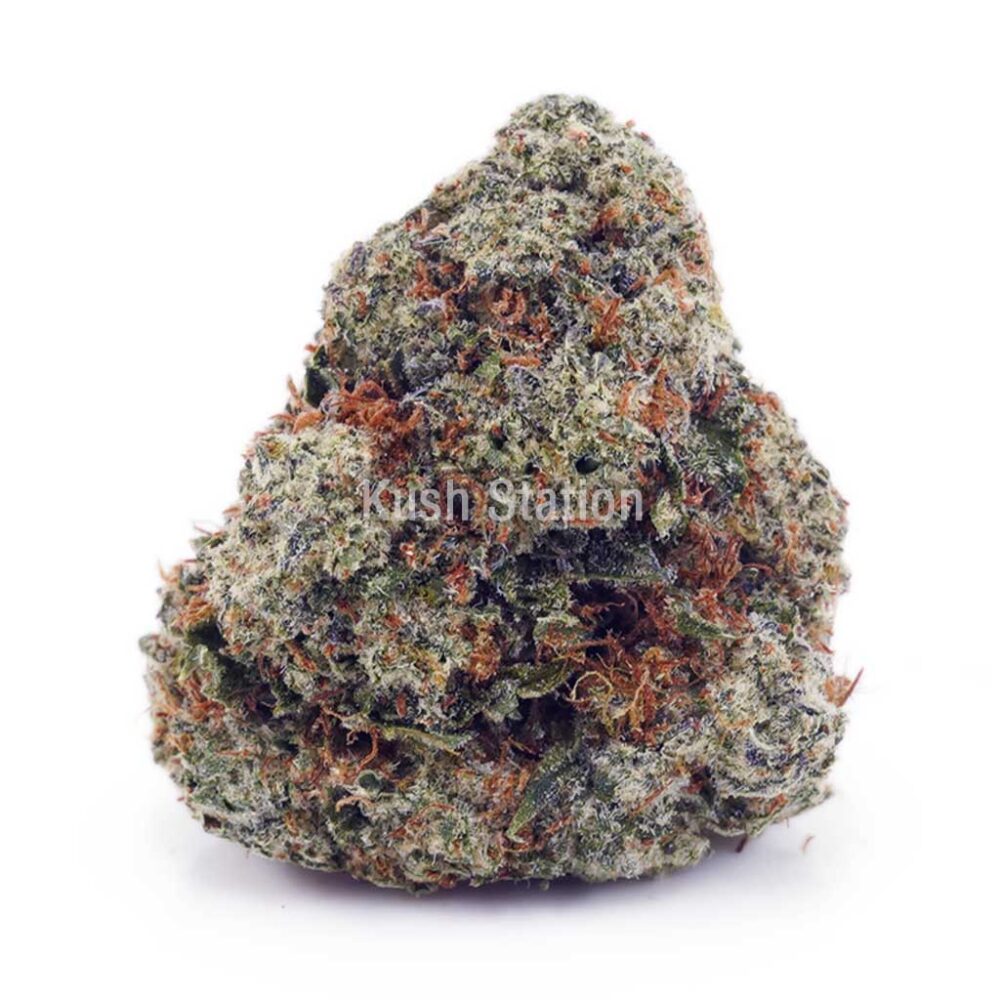 Buy Forum Cut Cookies AAA at Kush Station Online Shop