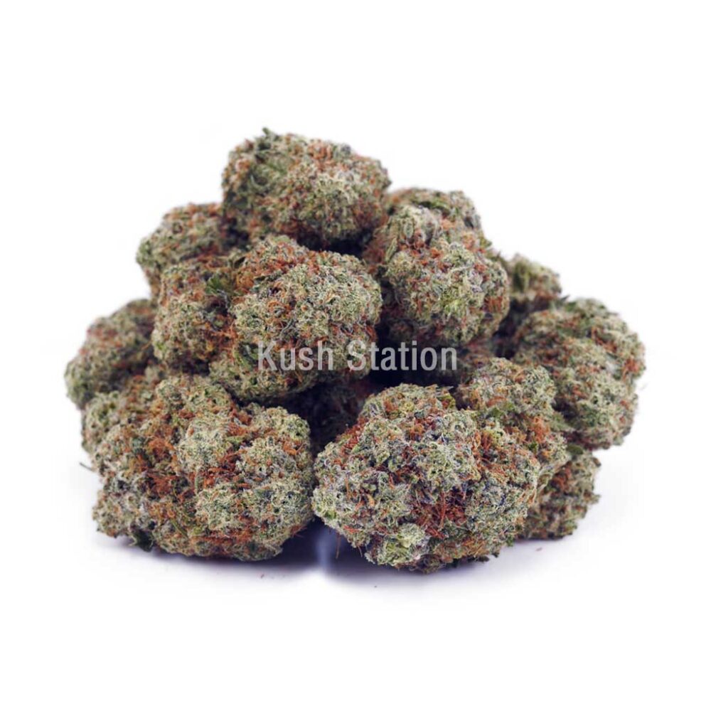 Buy Forum Cut Cookies AAA at Kush Station Online Shop