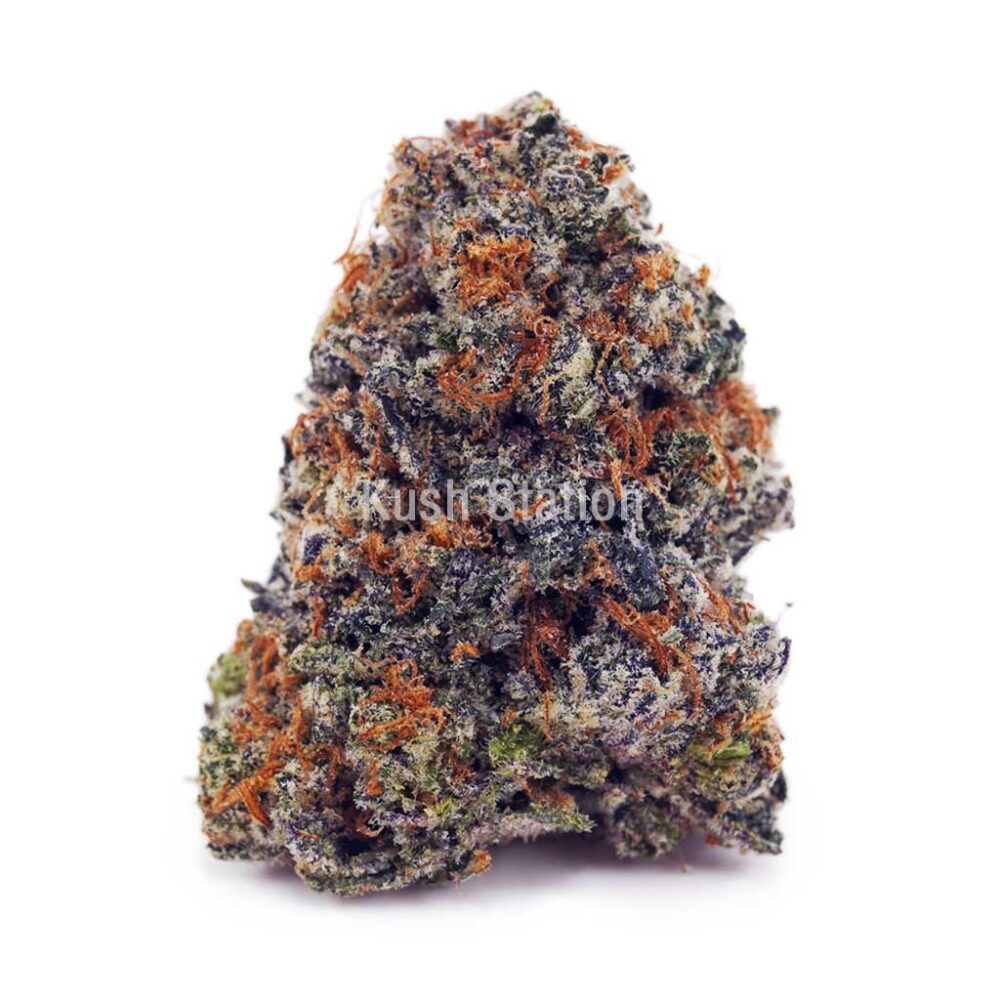 Buy Bacio Gelato (Craft) at Kush Station Online Shop