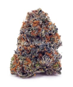 Buy Bacio Gelato (Craft) at Kush Station Online Shop