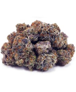Buy Bacio Gelato (Craft) at Kush Station Online Shop