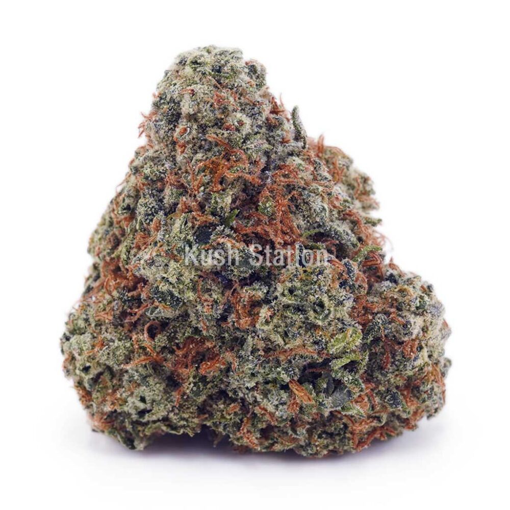 Buy Girl Scout Cookies AAA at Kush Station Online Shop