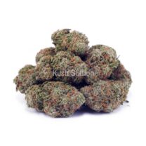 Buy Girl Scout Cookies AAA at Kush Station Online Shop