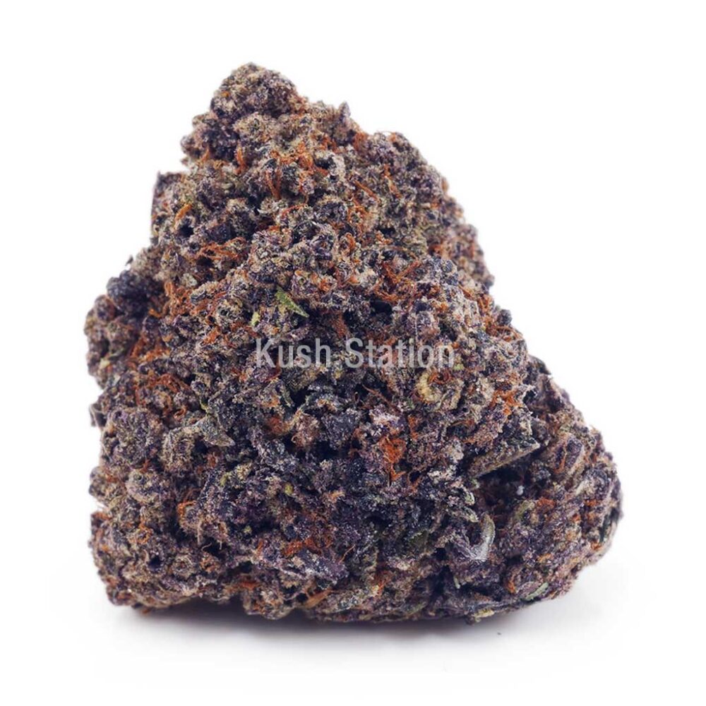 Buy Orange Creamsicle AAA at Kush Station Online Shop