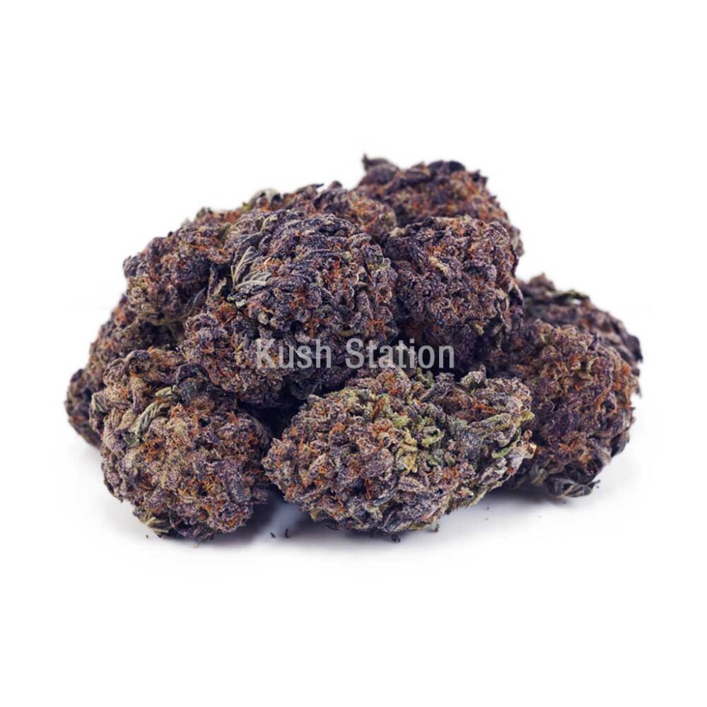 Buy Orange Creamsicle AAA at Kush Station Online Shop