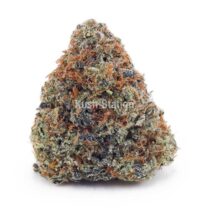Buy Master Yoda AA at Kush Station Online Shop