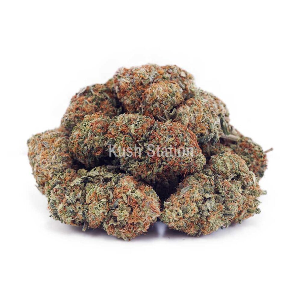 Buy Master Yoda AA at Kush Station Online Shop