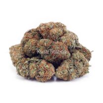 Buy Master Yoda AA at Kush Station Online Shop