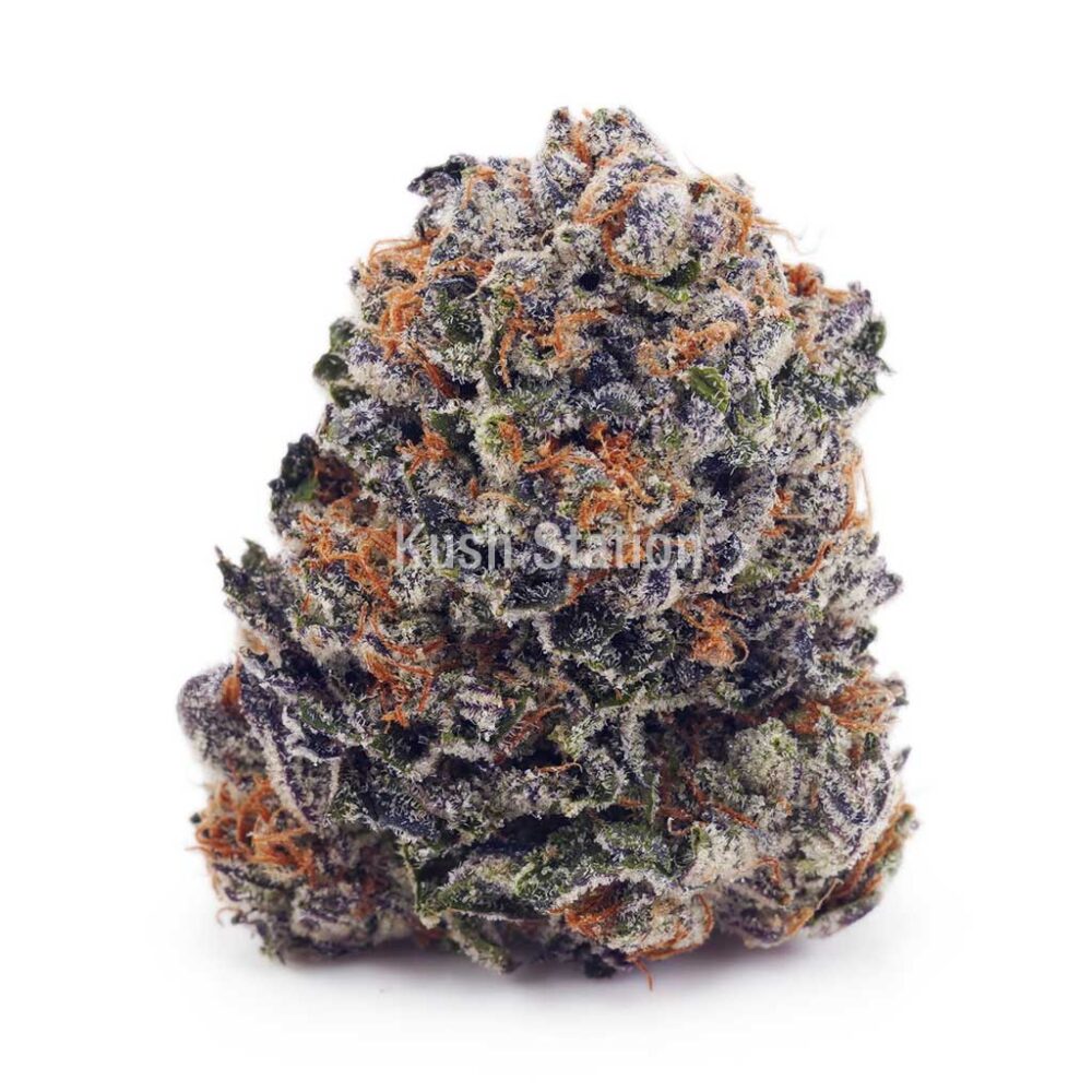 Buy Blue Mataro AAA at Kush Station Online Shop