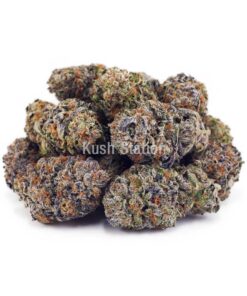 Buy Blue Mataro AAA at Kush Station Online Shop