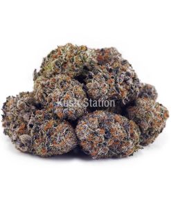 Buy Purple Haze AAA at Kush Station Online Shop