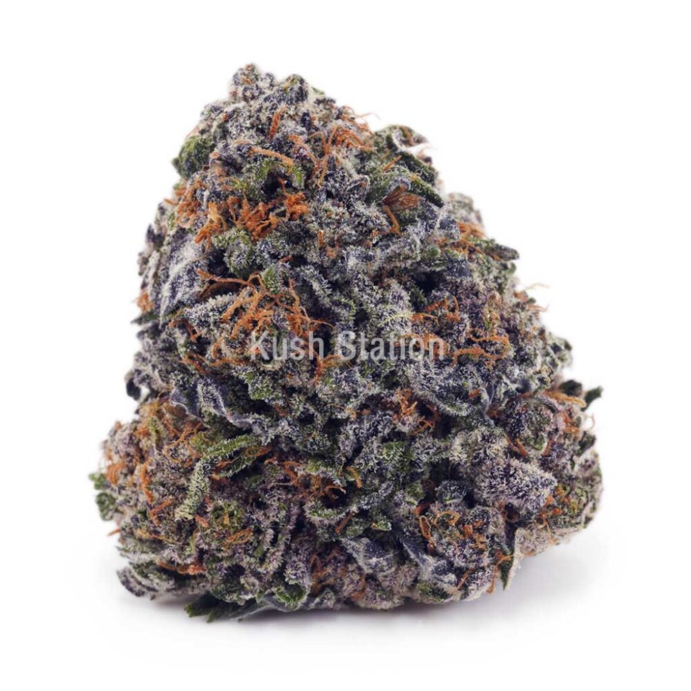 Buy Black Widow AAA at Kush Station Online Shop