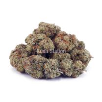 Buy White Widow AAA at Kush Station Online Shop
