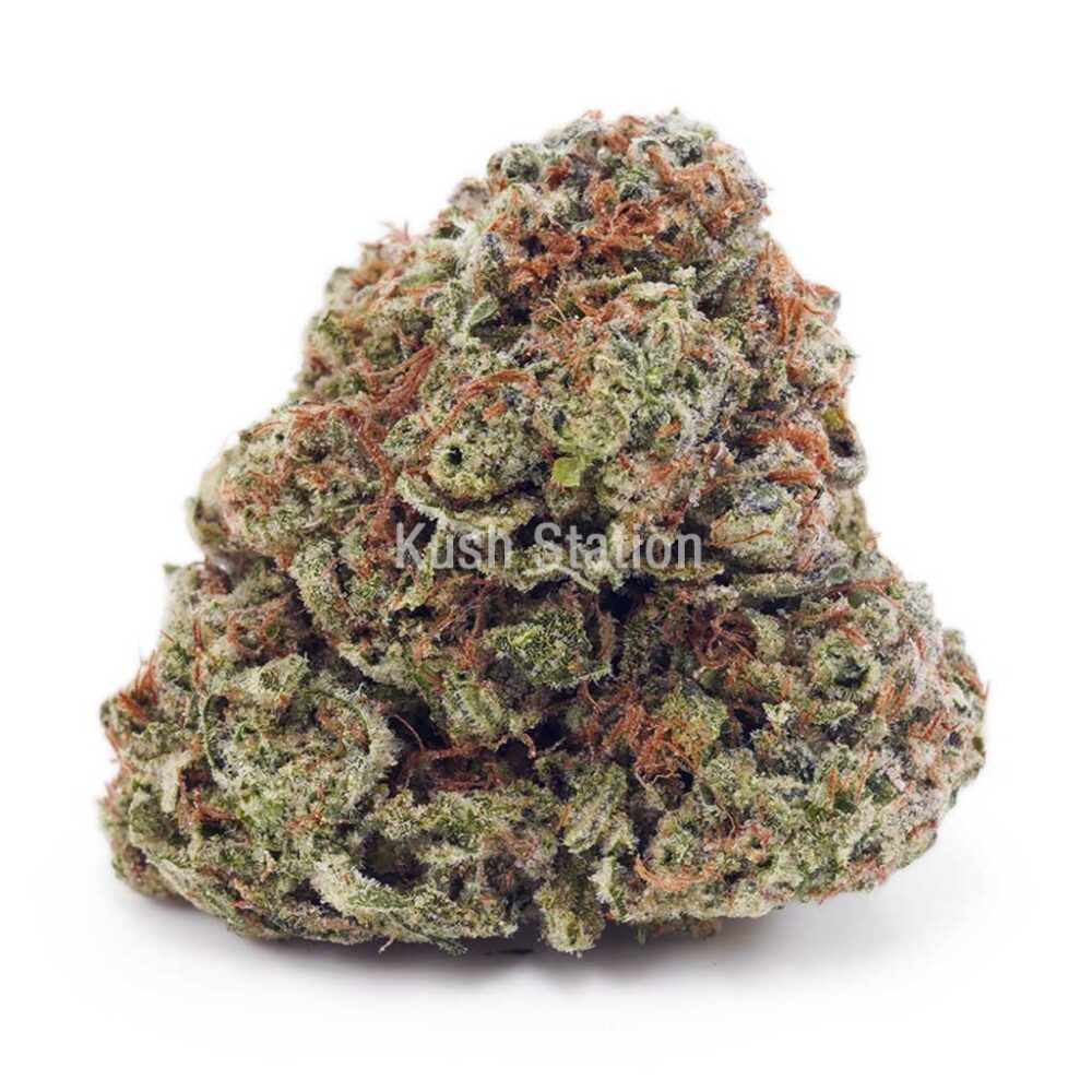 Buy Watermelon Punch AAA at Kush Station Online Shop