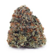 Buy Peanut Butter Kush AAA at Kush Station Online Shop