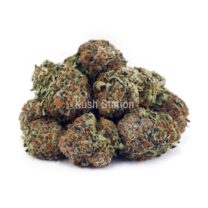 Buy Peanut Butter Kush AAA at Kush Station Online Shop