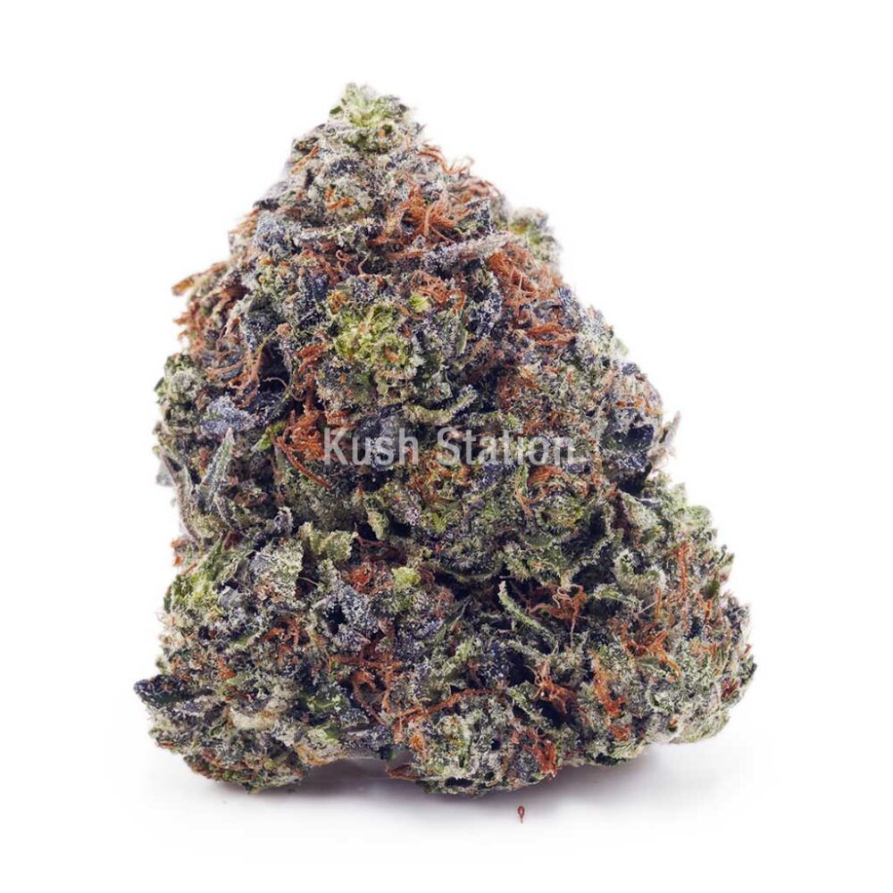 Buy Tom Ford Pink Kush (Craft) - High Grade Farms at Kush Station Online Shop