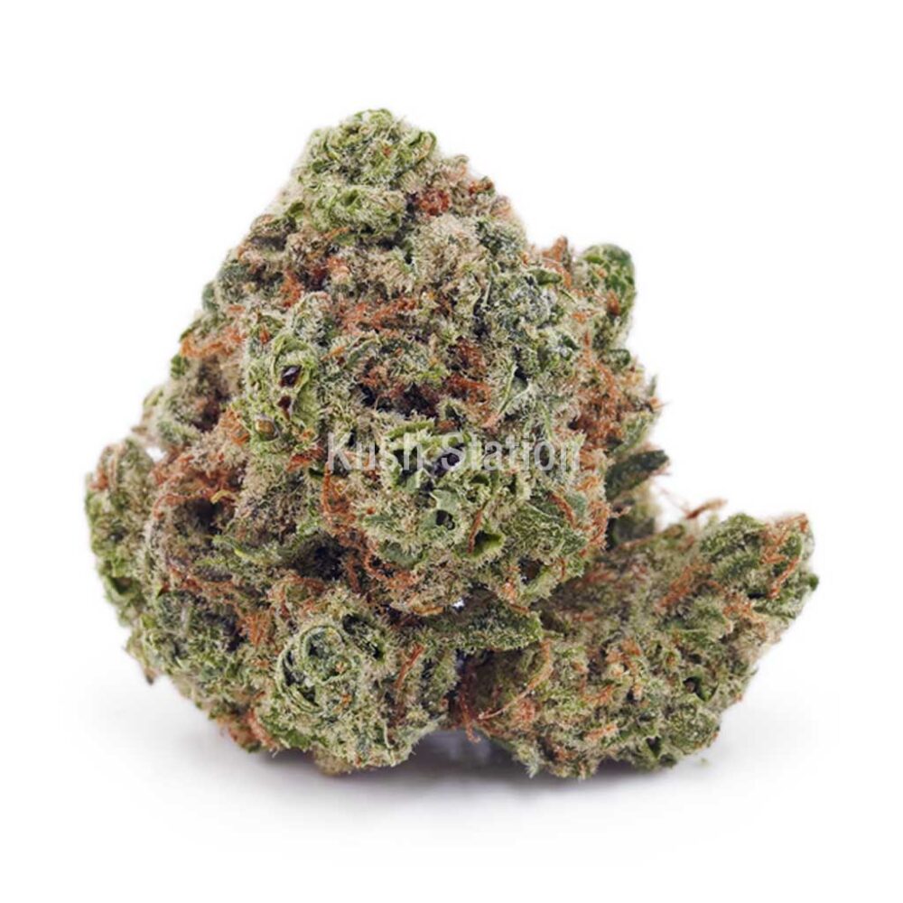 Buy White Rhino AA at Kush Station online shop