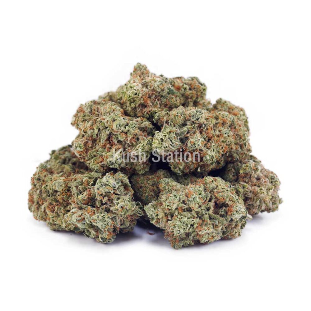 Buy White Rhino AA at Kush Station online shop
