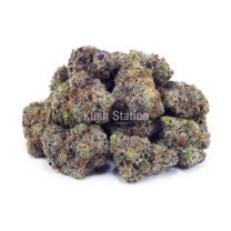 Buy Death Star AAAA at Kush Station Online Shop