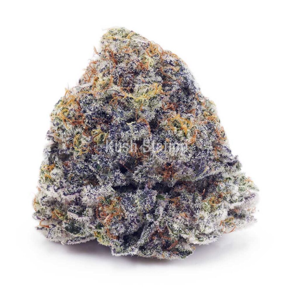 Buy White Russian Cream AAAA at Kush Station Online