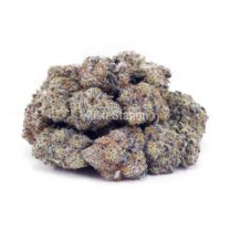 Buy White Russian Cream AAAA at Kush Station Online