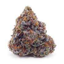 Buy Watermelon Bomb AAAA at Kush Station Online