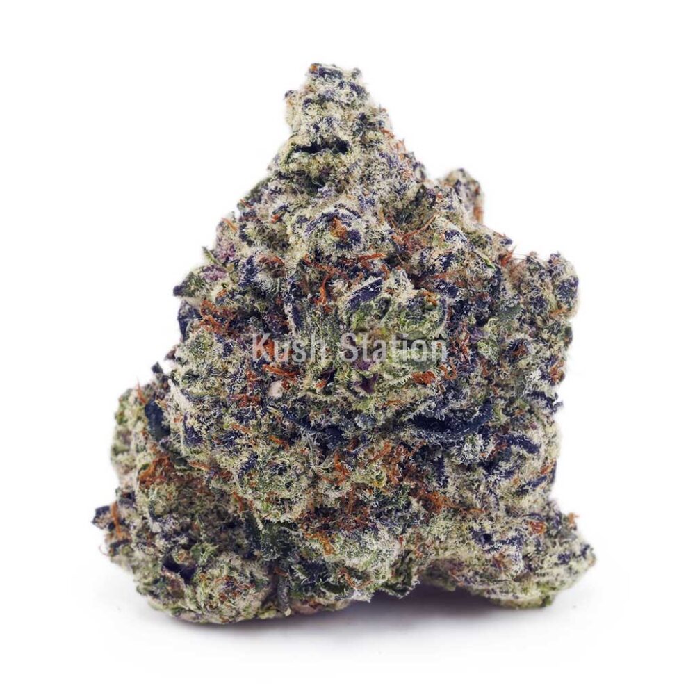 Buy Apple Fritter (Craft) - Only Quads at Kush Station Online