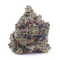 Buy Apple Fritter (Craft) - Only Quads at Kush Station Online