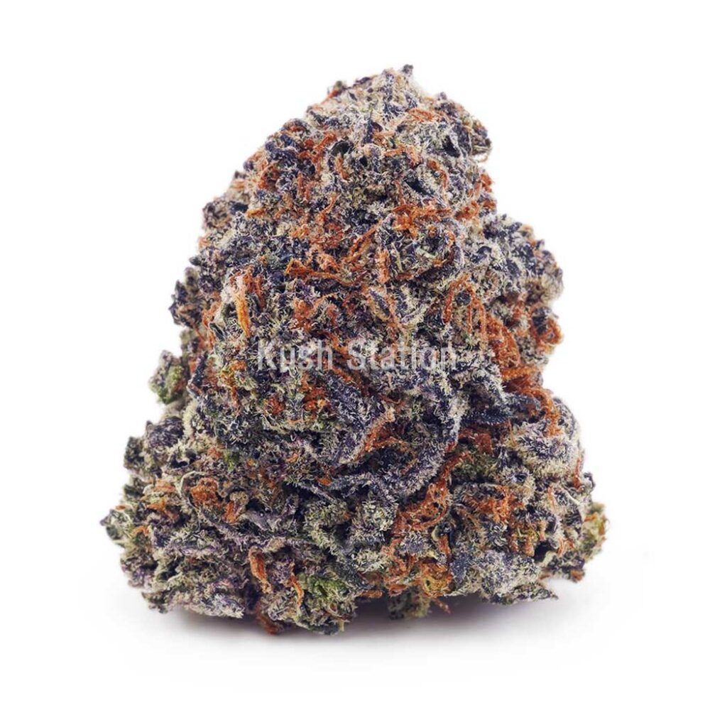 Buy Purple Afghan Haze AAAA at Kush Station Online Shop