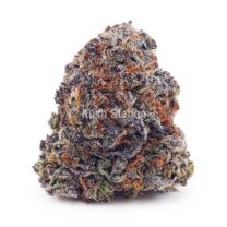 Buy Purple Afghan Haze AAAA at Kush Station Online Shop