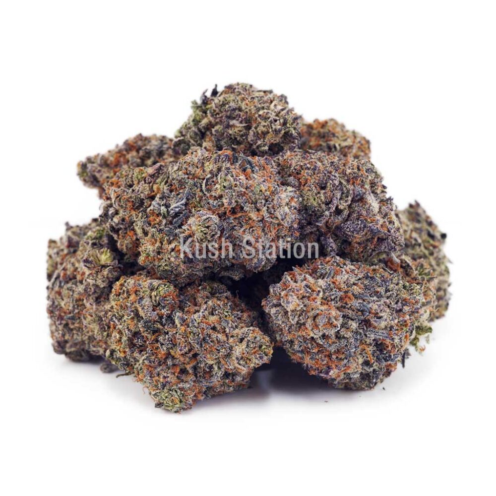Buy Purple Afghan Haze AAAA at Kush Station Online Shop