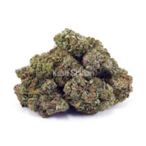 Buy Hindu Kush AAAA at Kush Station Online Shop