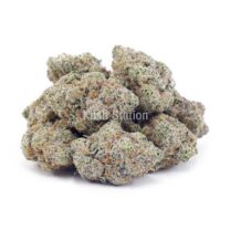 Buy Strawberry Shortcake AA at Kush Station Online