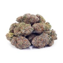 Buy Blackberry OG AAAA at Kush Station Online Shop