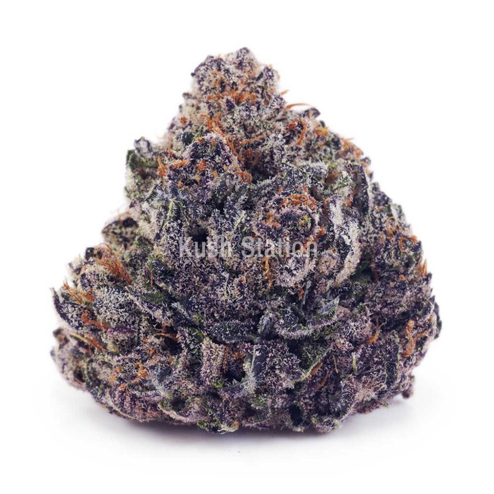 Buy Granddaddy Purple AAAA at Kush Station Online Shop